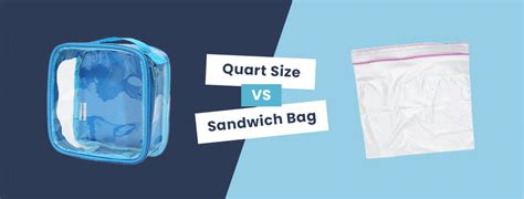 tsa quart size bag dimensions|quart size bag vs sandwich.